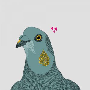 'Gerald Looking For Love' - Gerald is a pigeon that visits my garden on a daily basis. He is always alone but is a very handsome little dude that I always imagine is just a little unlucky in love.